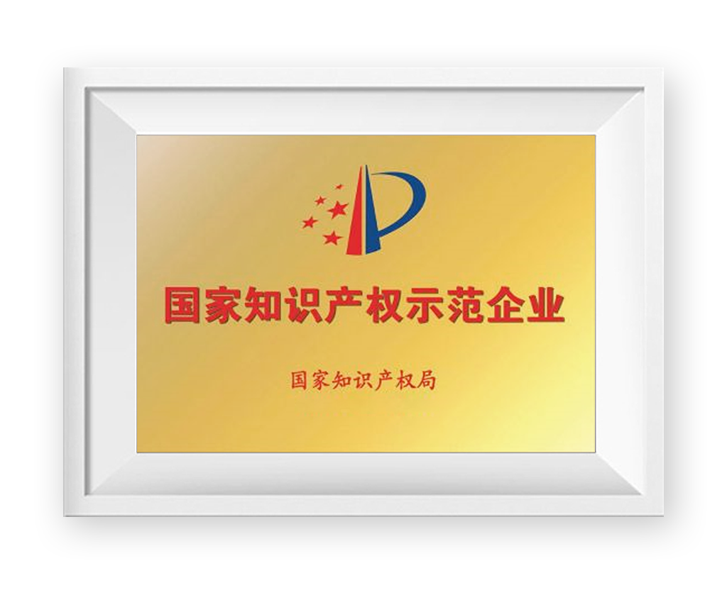 國家知識產(chǎn)權(quán)示范企業(yè)