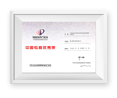 中國專利優(yōu)秀獎