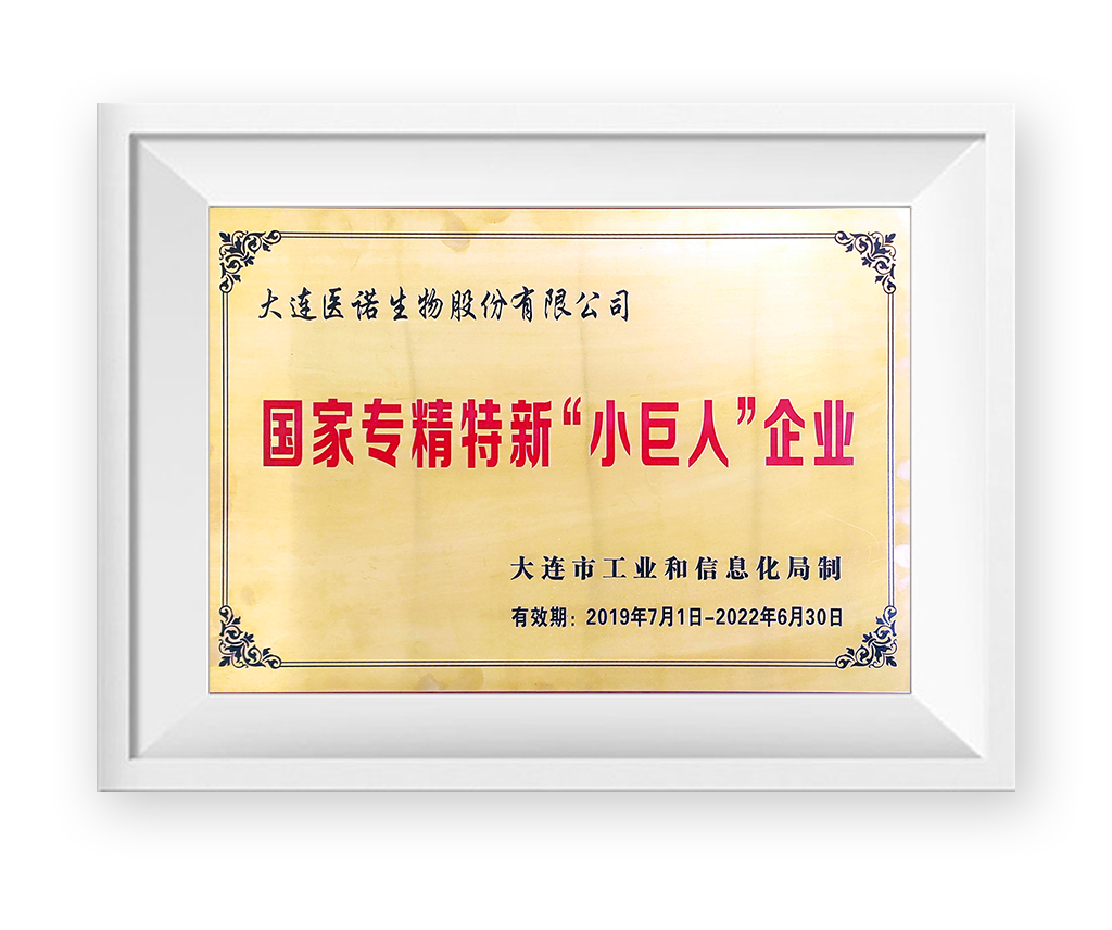 專精特新小巨人企業(yè)